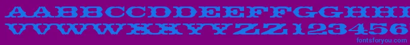 Thunderbirddreg Font – Blue Fonts on Purple Background