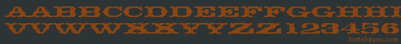 Шрифт Thunderbirddreg – коричневые шрифты на чёрном фоне