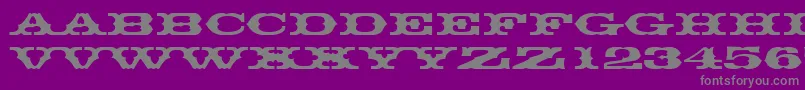 Thunderbirddreg Font – Gray Fonts on Purple Background