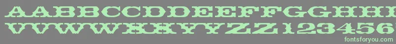 Thunderbirddreg Font – Green Fonts on Gray Background