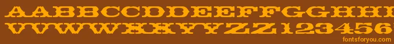 Thunderbirddreg Font – Orange Fonts on Brown Background