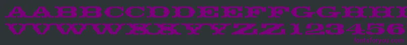 Thunderbirddreg Font – Purple Fonts on Black Background