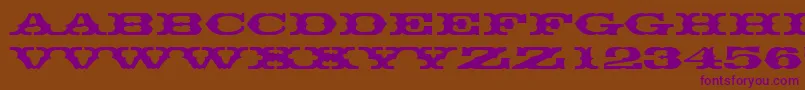 Thunderbirddreg Font – Purple Fonts on Brown Background