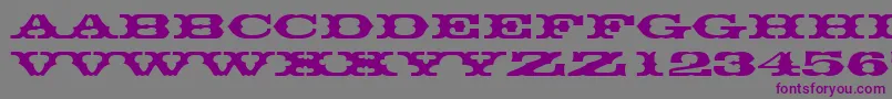 Thunderbirddreg Font – Purple Fonts on Gray Background