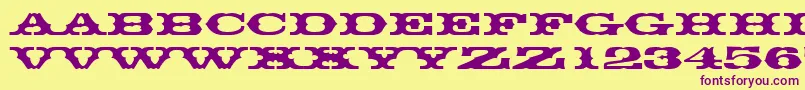 Thunderbirddreg Font – Purple Fonts on Yellow Background