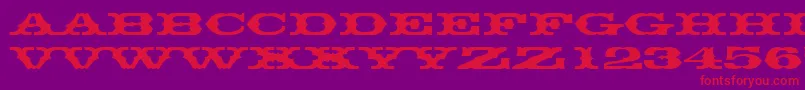 Thunderbirddreg Font – Red Fonts on Purple Background