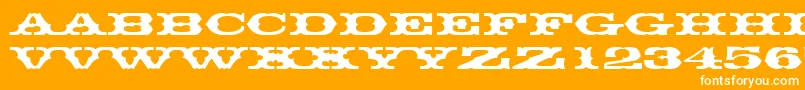 Thunderbirddreg Font – White Fonts on Orange Background