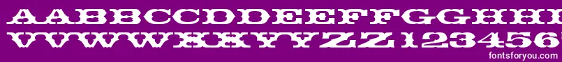 Thunderbirddreg Font – White Fonts on Purple Background