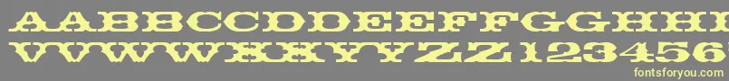 Thunderbirddreg Font – Yellow Fonts on Gray Background