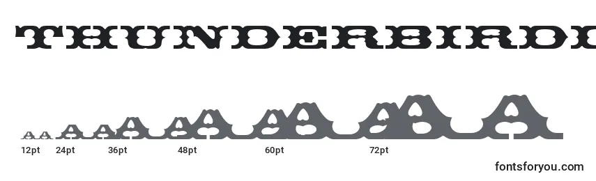 Thunderbirddreg Font Sizes