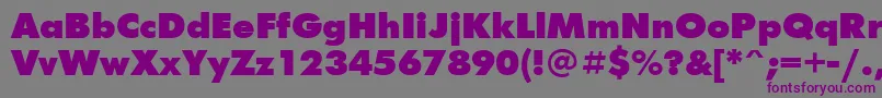 Ftxb Font – Purple Fonts on Gray Background