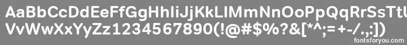 フォントTondocorpBold – 灰色の背景に白い文字