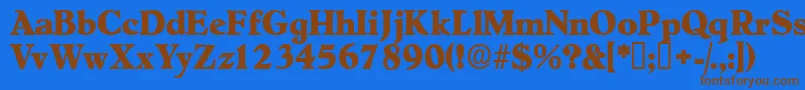 フォントNegotiatdisplayssk – 茶色の文字が青い背景にあります。