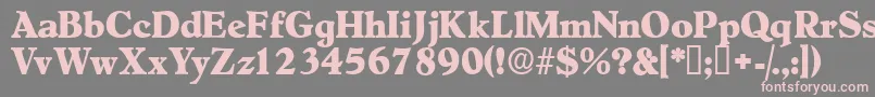 フォントNegotiatdisplayssk – 灰色の背景にピンクのフォント