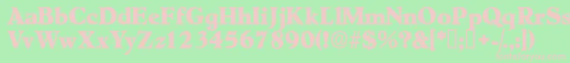 フォントNegotiatdisplayssk – 緑の背景にピンクのフォント