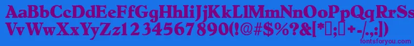 Negotiatdisplayssk Font – Purple Fonts on Blue Background