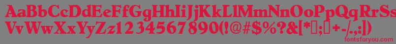 Negotiatdisplayssk Font – Red Fonts on Gray Background