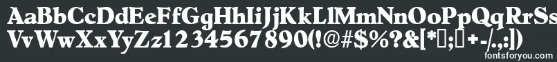 Negotiatdisplayssk-fontti – valkoiset fontit mustalla taustalla