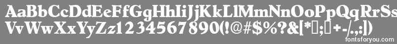 Шрифт Negotiatdisplayssk – белые шрифты на сером фоне