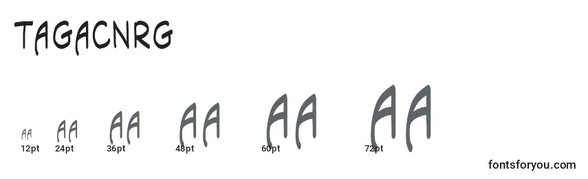 Tagacnrg Font Sizes