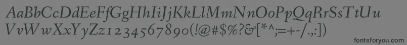 FanwoodtextItalic Font – Black Fonts on Gray Background
