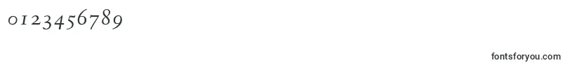 FanwoodtextItalic Font – Fonts for Numbers and Digits