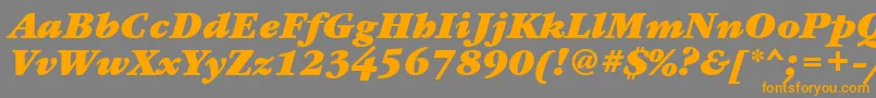 フォントGaramondbookcttBolditalic – オレンジの文字は灰色の背景にあります。