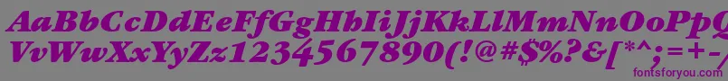 GaramondbookcttBolditalic Font – Purple Fonts on Gray Background