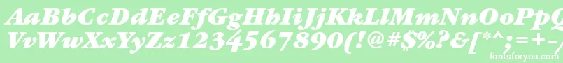 GaramondbookcttBolditalic Font – White Fonts on Green Background