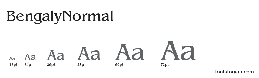 Размеры шрифта BengalyNormal