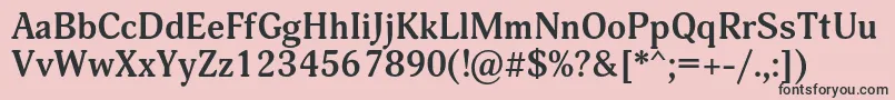 フォントAdoniscBold – ピンクの背景に黒い文字