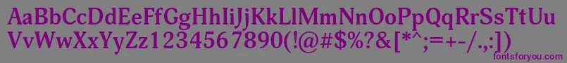Шрифт AdoniscBold – фиолетовые шрифты на сером фоне