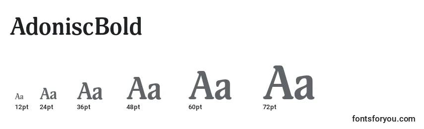 AdoniscBold Font Sizes