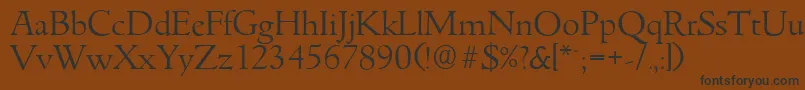 GouditaserialLightRegular Font – Black Fonts on Brown Background