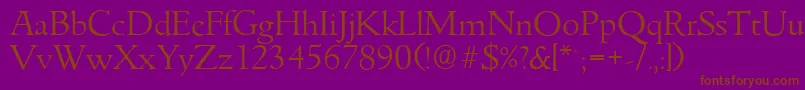 GouditaserialLightRegular Font – Brown Fonts on Purple Background