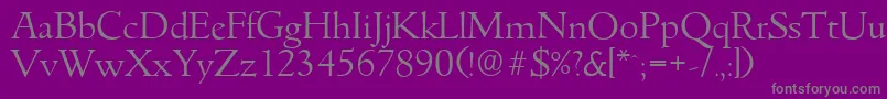 GouditaserialLightRegular Font – Gray Fonts on Purple Background