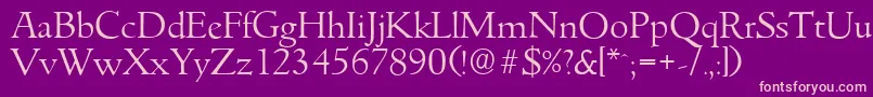 GouditaserialLightRegular Font – Pink Fonts on Purple Background