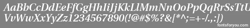 フォントUtopiaSemiboldItalic – 灰色の背景に白い文字