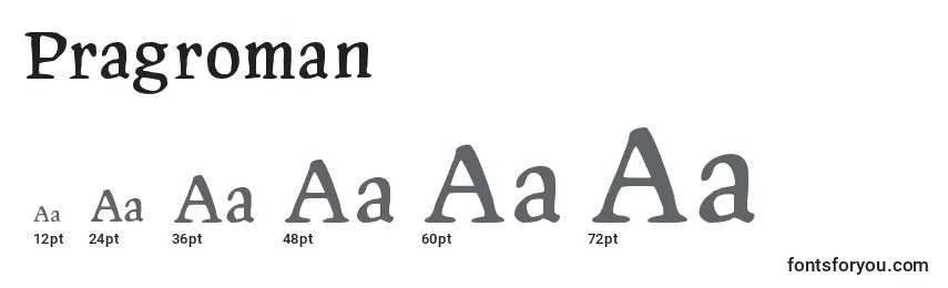 Размеры шрифта Pragroman