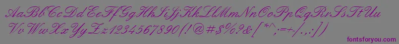 Englshn Font – Purple Fonts on Gray Background