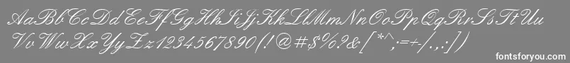 フォントEnglshn – 灰色の背景に白い文字