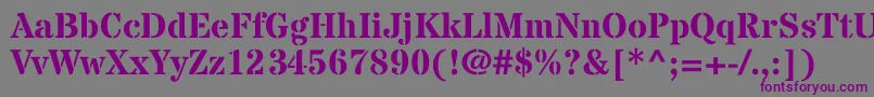 StardosstencilBold Font – Purple Fonts on Gray Background