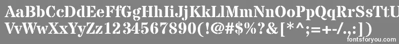 StardosstencilBold Font – White Fonts on Gray Background