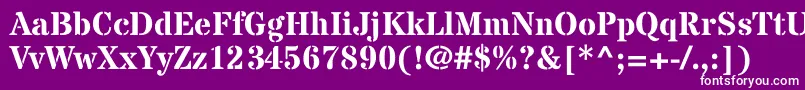 StardosstencilBold Font – White Fonts on Purple Background