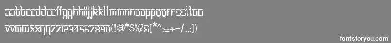 BitlinglipikaRegular Font – White Fonts on Gray Background