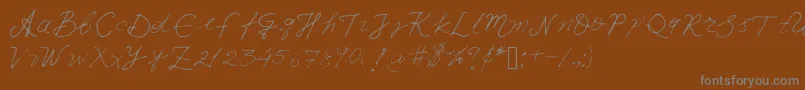 Iwfxv03-Schriftart – Graue Schriften auf braunem Hintergrund