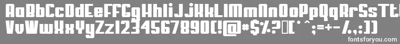 フォントMyPuma – 灰色の背景に白い文字
