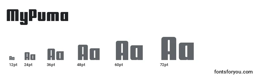 MyPuma Font Sizes
