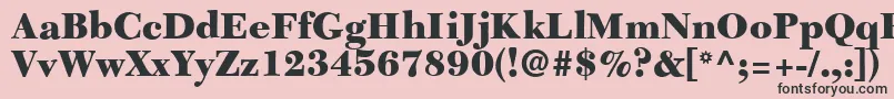 C651RomanBlackRegular Font – Black Fonts on Pink Background