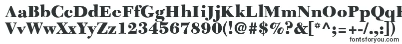 C651RomanBlackRegular-fontti – Alkavat C:lla olevat fontit